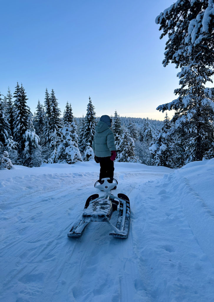 Ake, vinter i Alvdal.