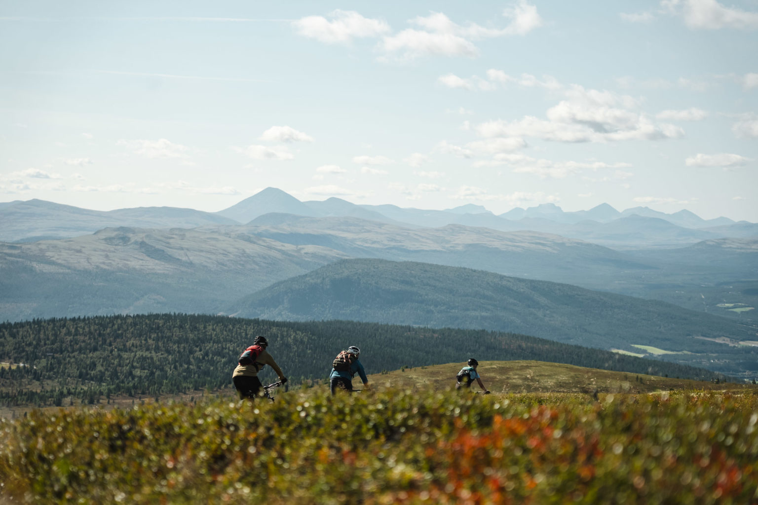 Aktiviteter - Opplev Alvdal