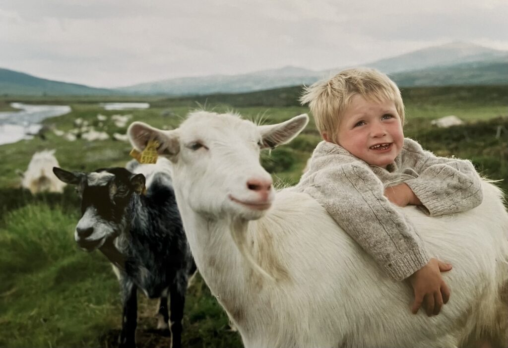 Åpen seter i Einunndalen