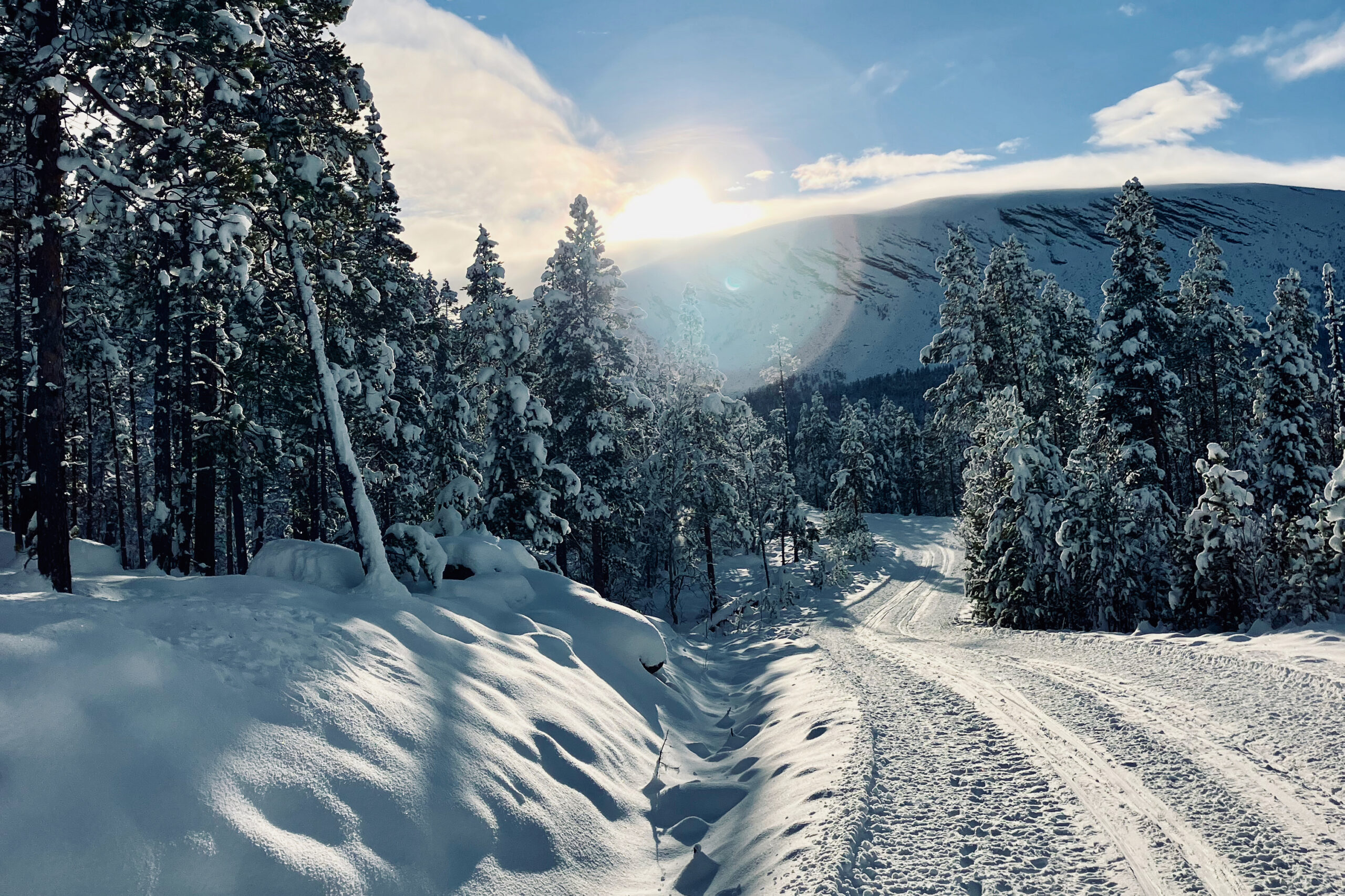 Skiløype i Finnbudalen
