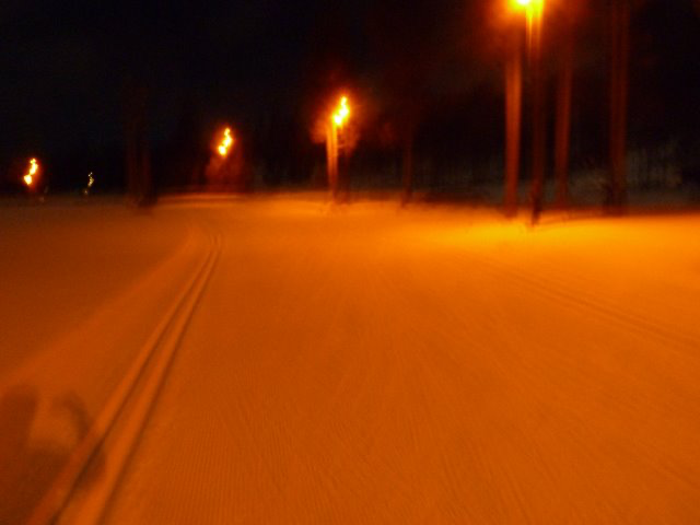 Lysløype Steimoegga