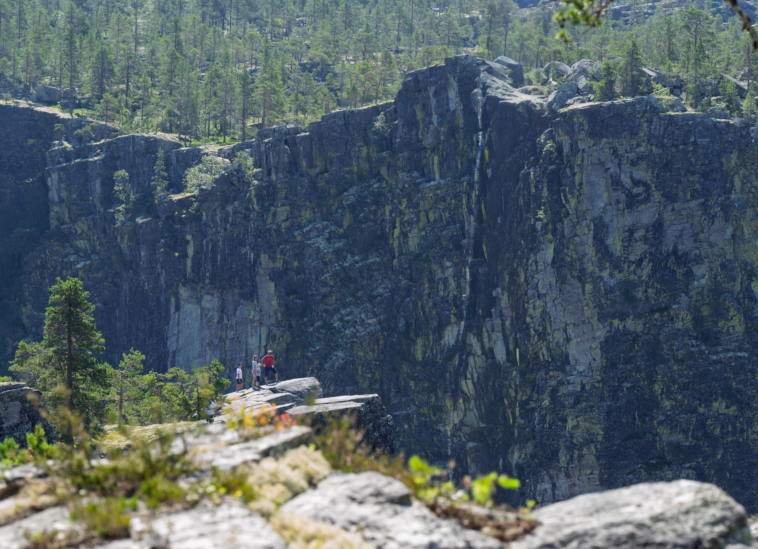 utsiktspunktet på nord-siden av Jutulhogget